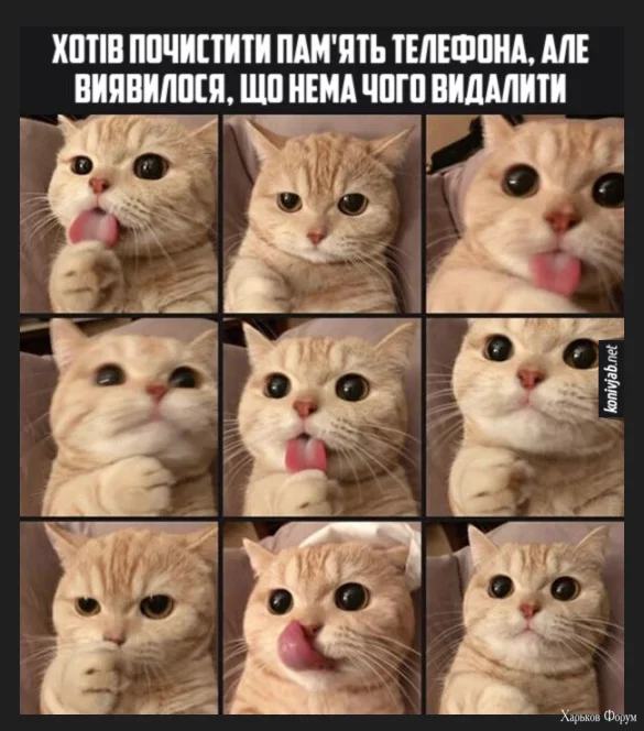 1702673578311.webp