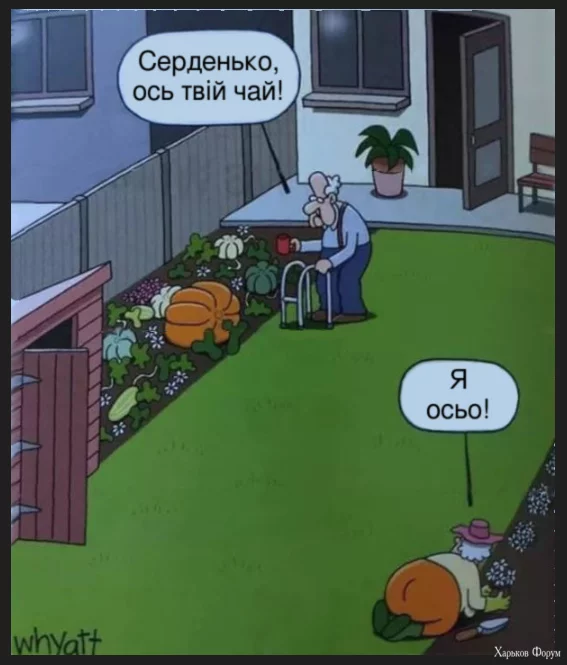 1702732934622.webp