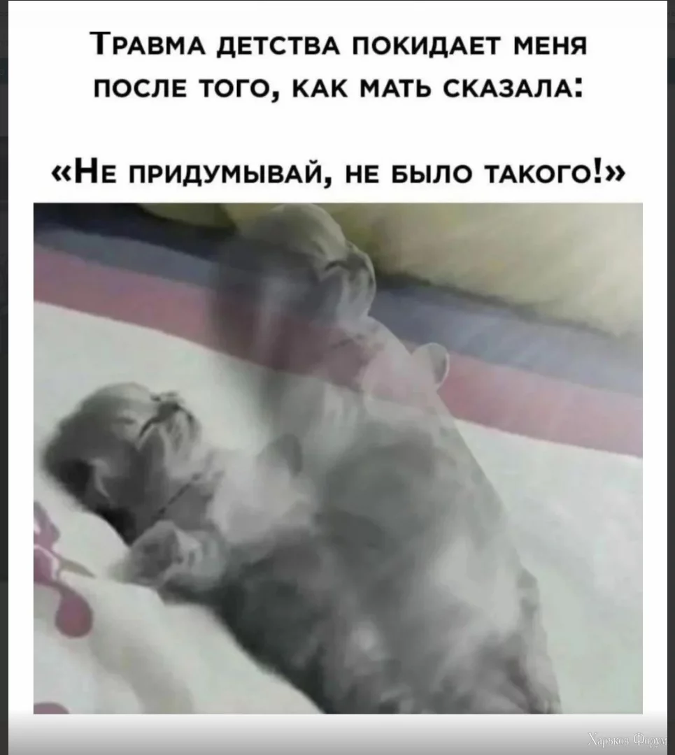 1702732953689.webp