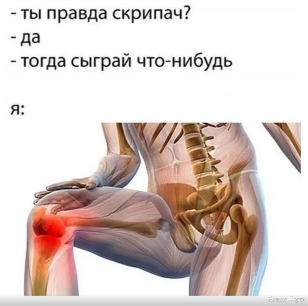 1702733195151.webp