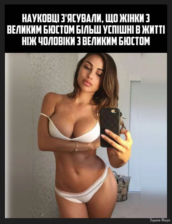 1702733522168.webp