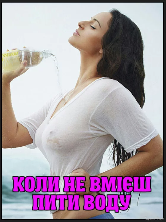 1702734271522.webp