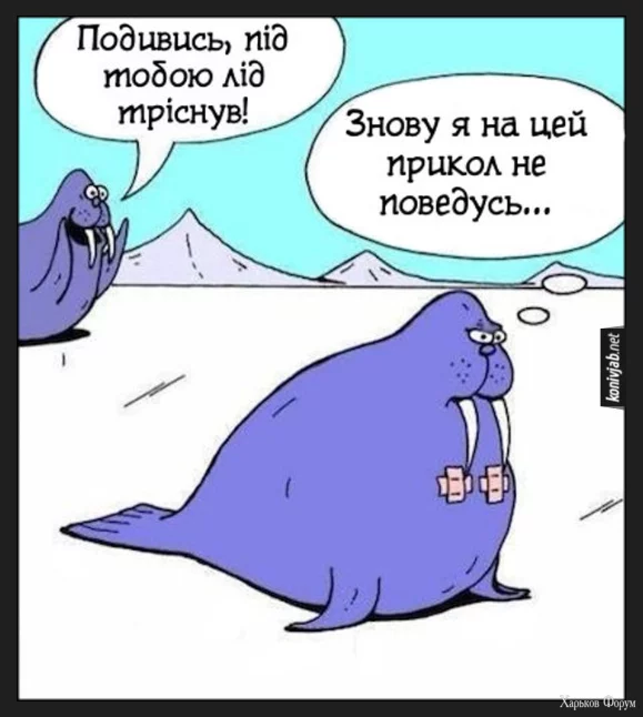 1702753058365.webp