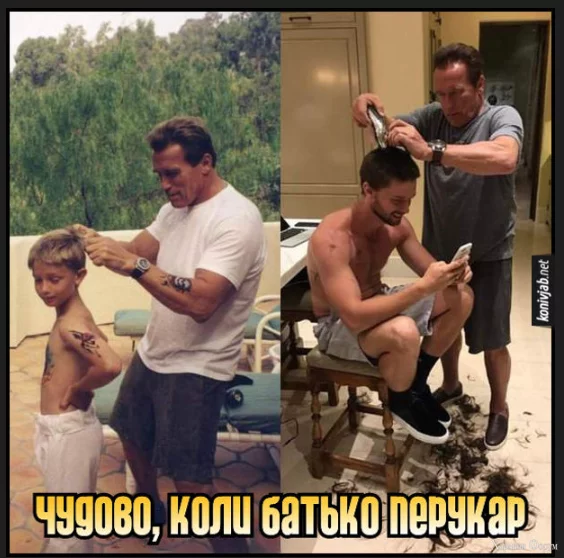 1702815878639.webp