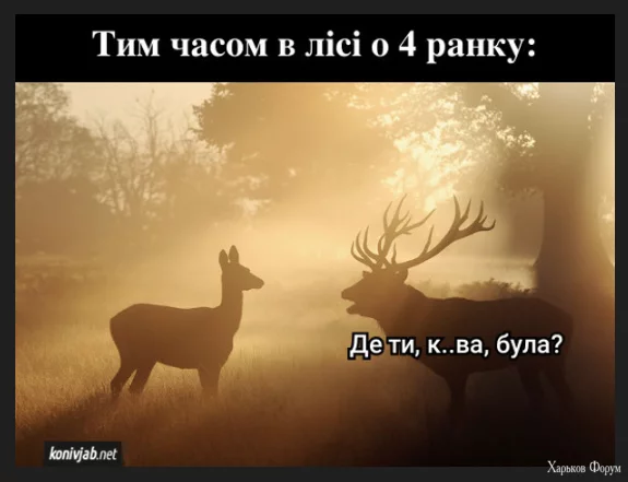 1702815946707.webp