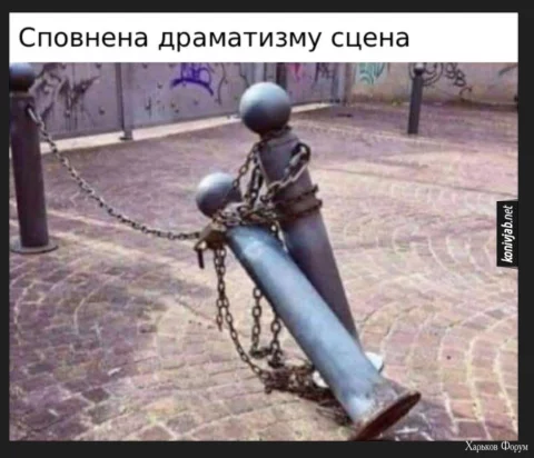 1702833542440.webp
