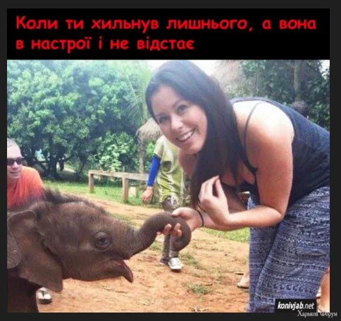 1702897068837.webp