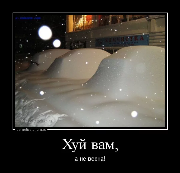 1703130334432711.webp