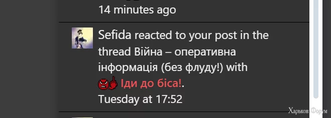 1703173216918.webp