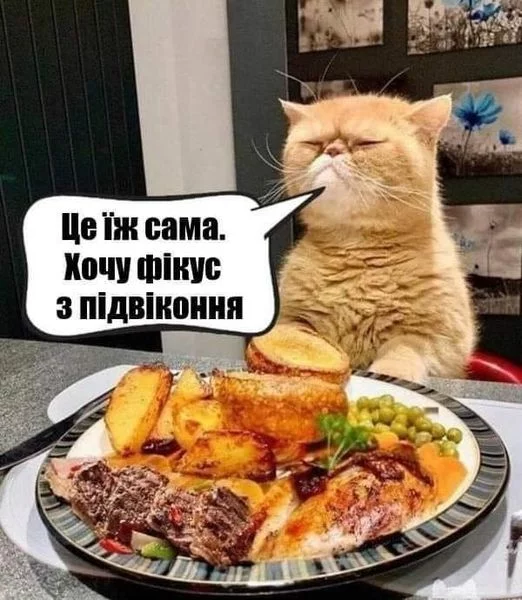 1704033217903.webp