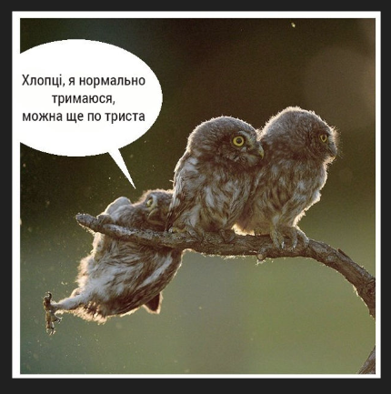 1704227458196.png