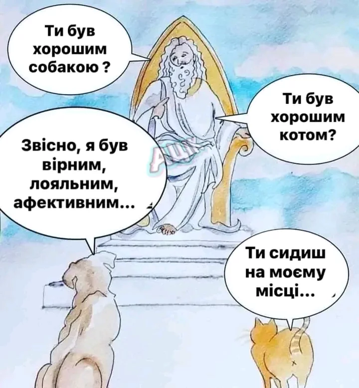 1704831922106.webp