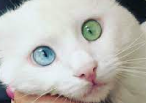 1705149287469.png