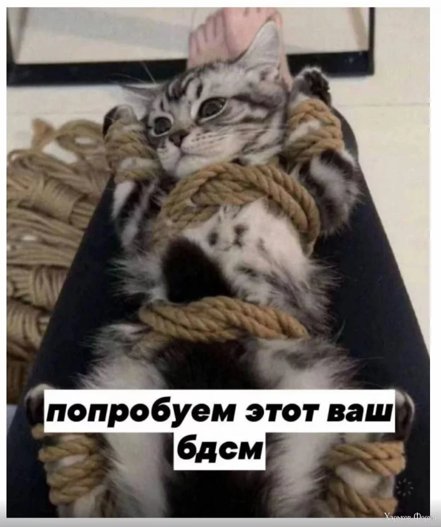 1705849476804.webp