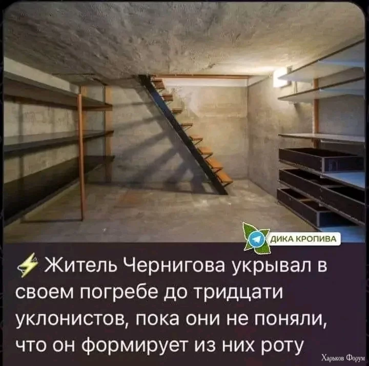 1705916427037.webp