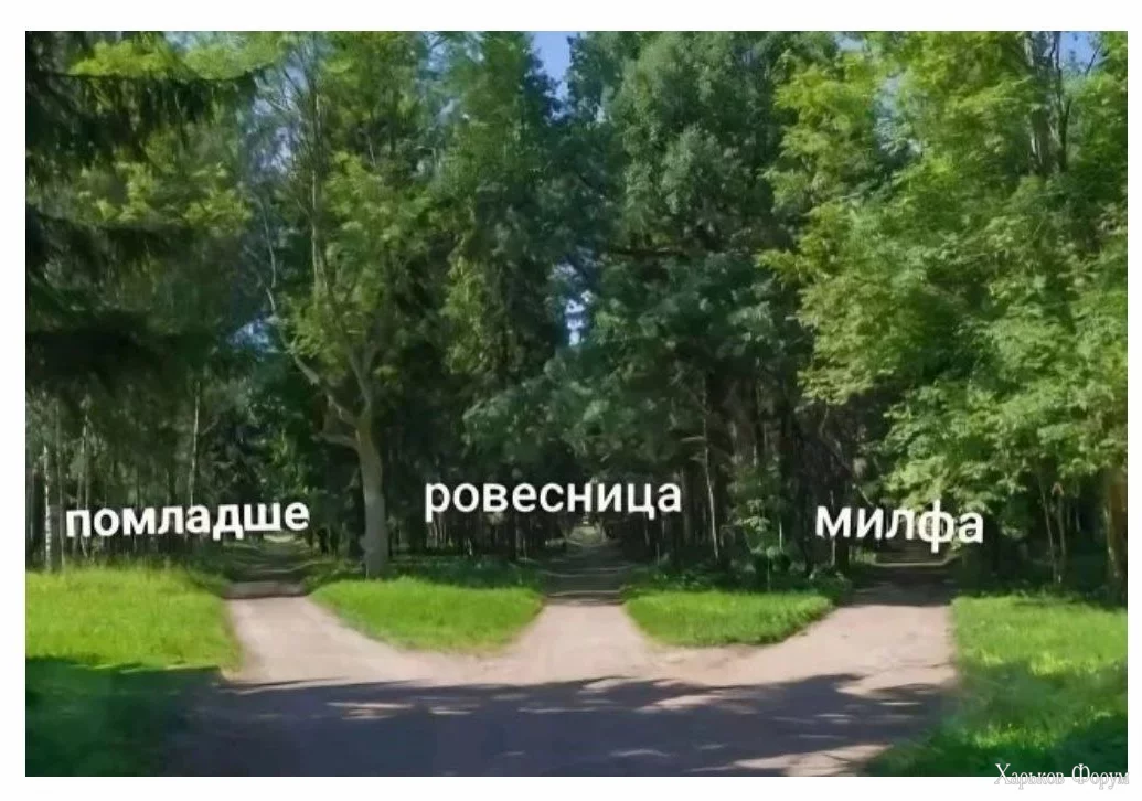 1706087829012.webp