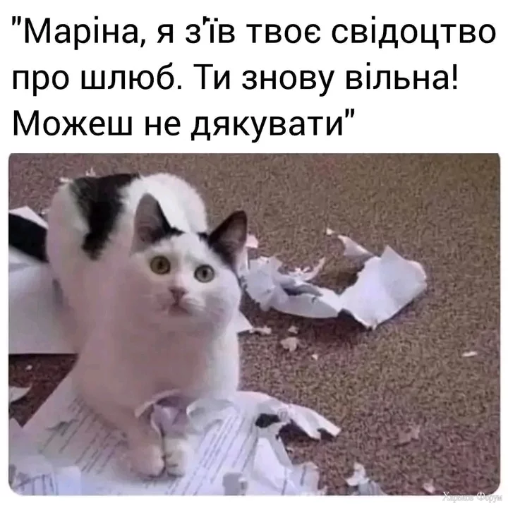 1706290763712.webp