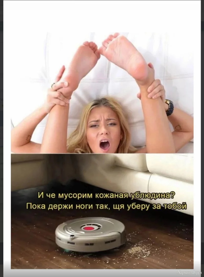 1706454587651.webp