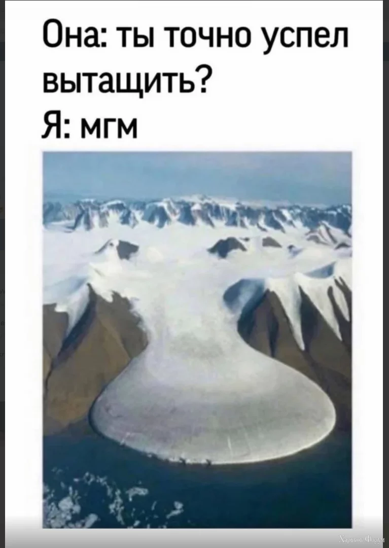 1706454695212.webp