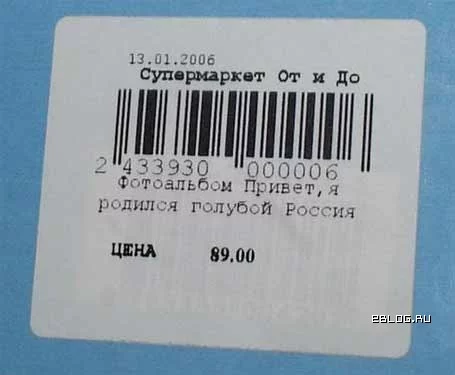 170649_334162.webp