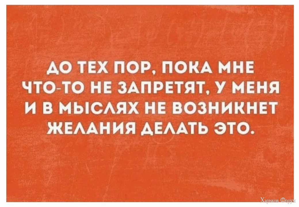 1706519192282.webp