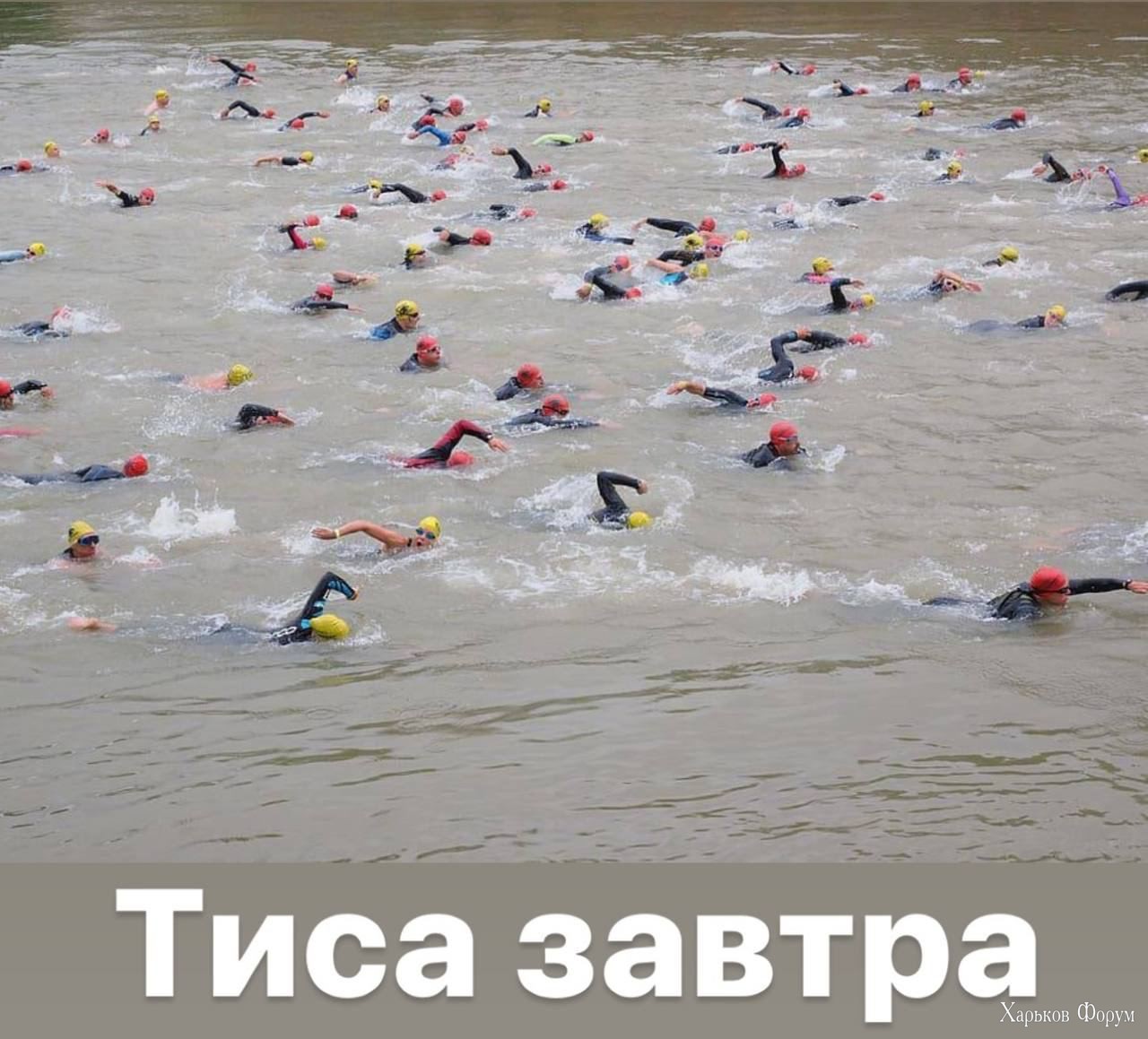 1706649378363.png