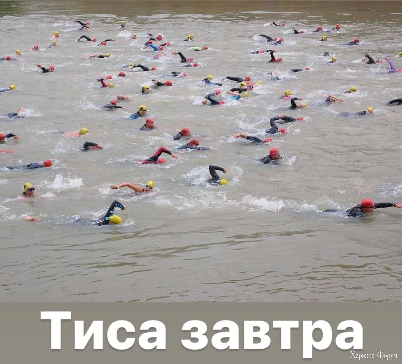 1706649378363.webp