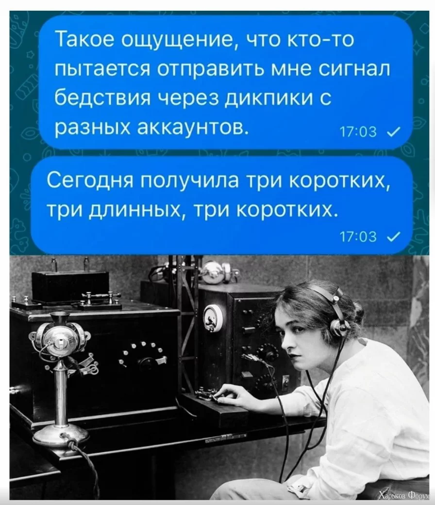 1706900335735.webp