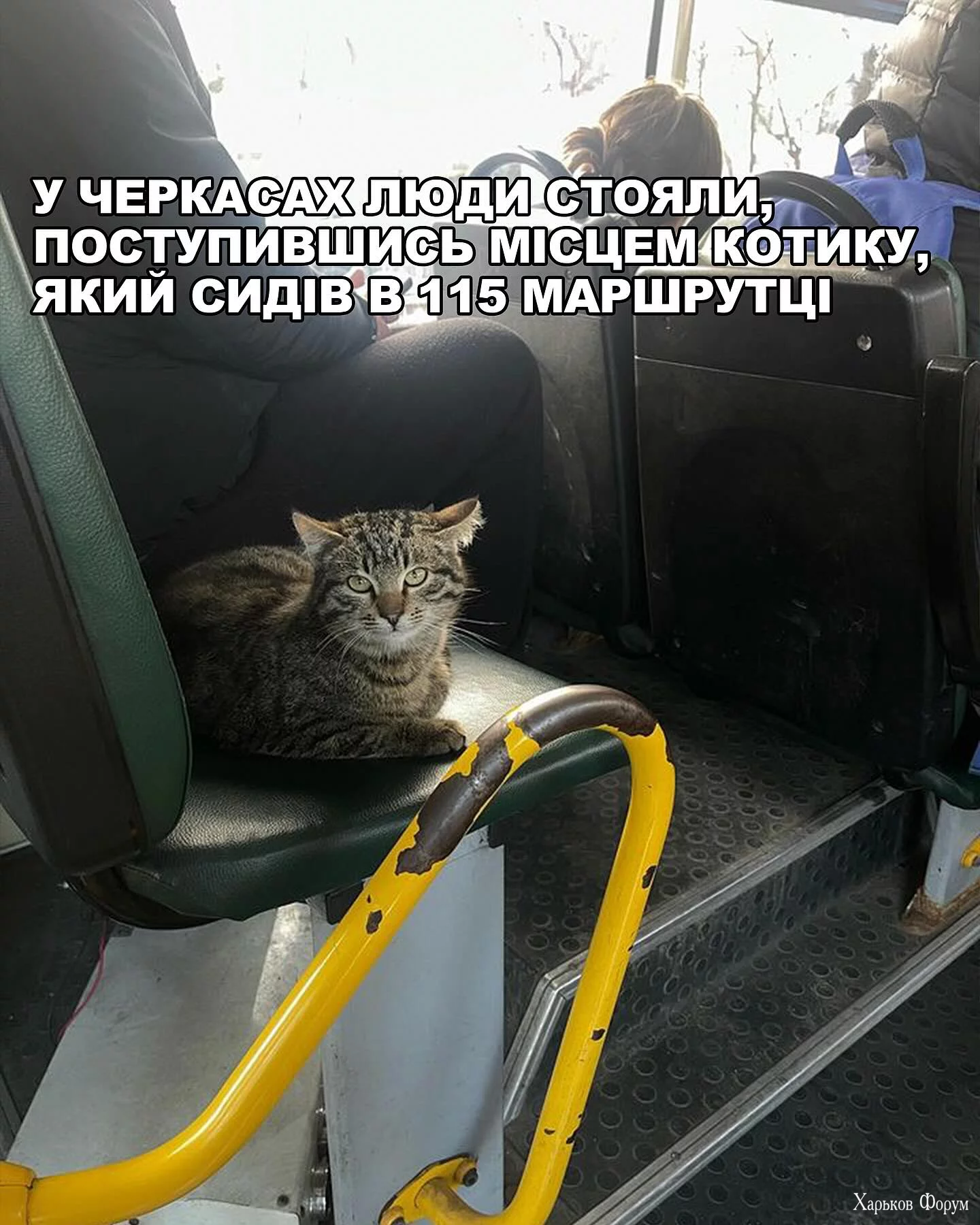 1706953513250.webp