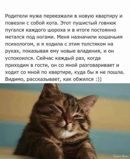 1707248143065.webp