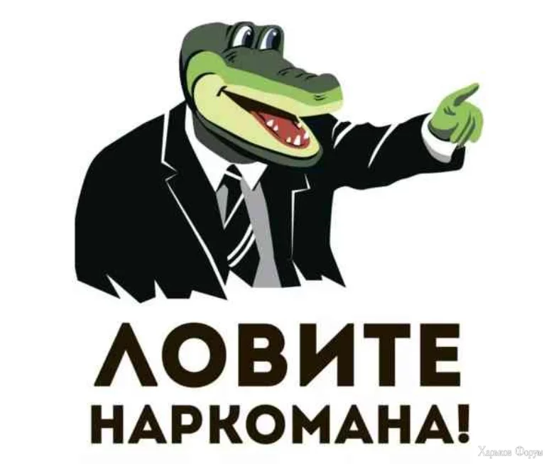 1707395949886.webp