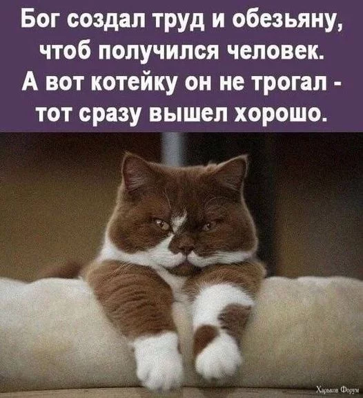 1707400646736.webp