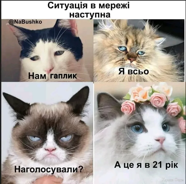1707483491236.jpg