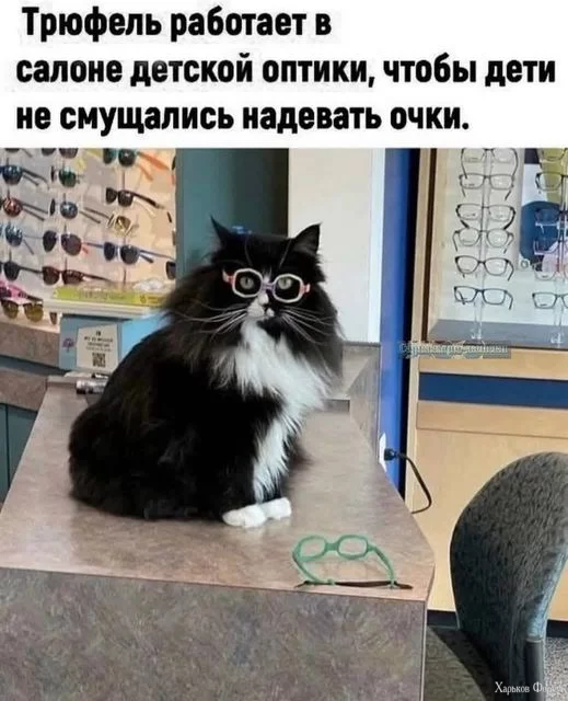 1707504007597.webp