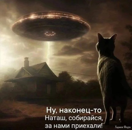 1707671622356.webp