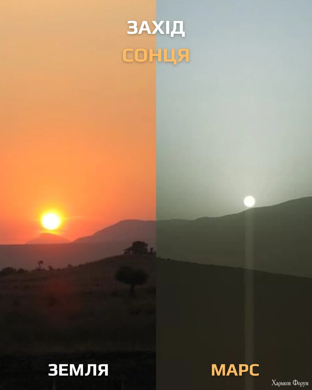 1707674713059.webp