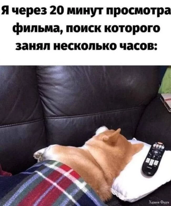 1707714946630.webp
