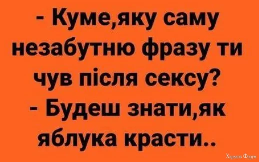 1708179398184.webp