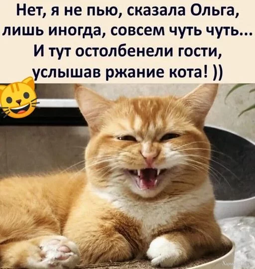 1708287058742.webp
