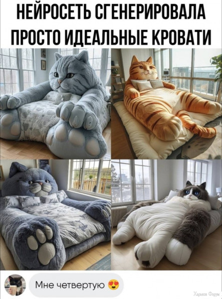 1708471834683.jpeg