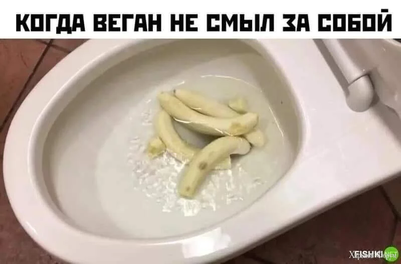1708668774076.webp