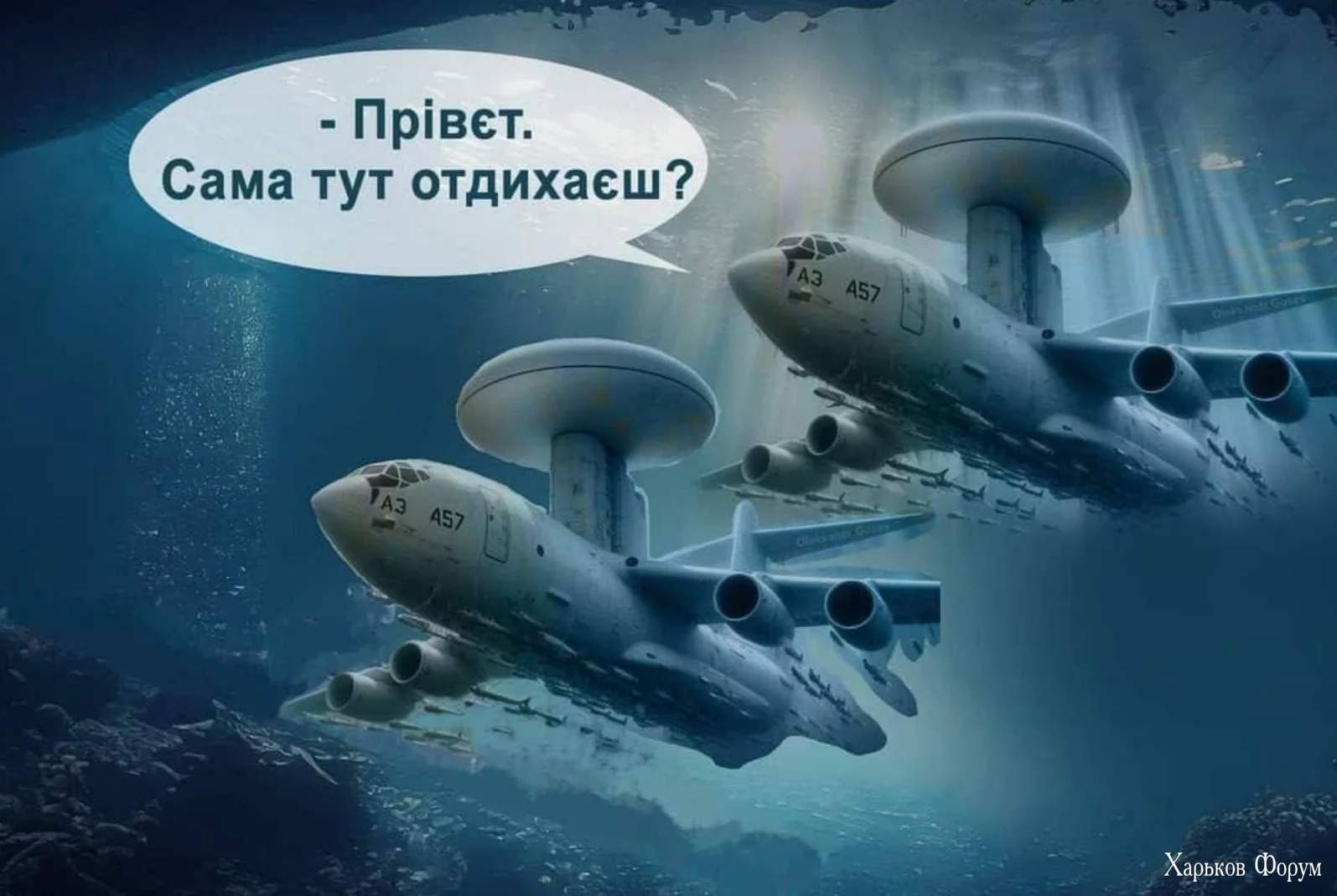 1708728909960.webp
