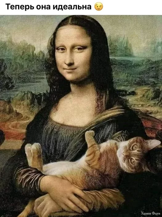 1708729589941.webp
