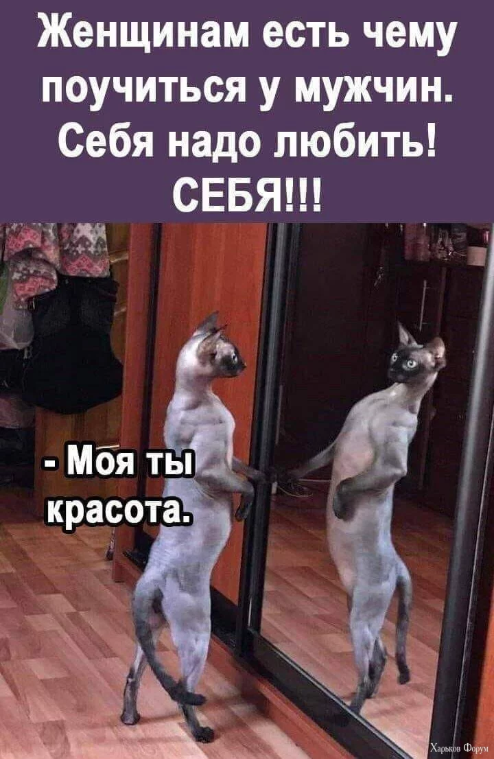 1708823279607.webp