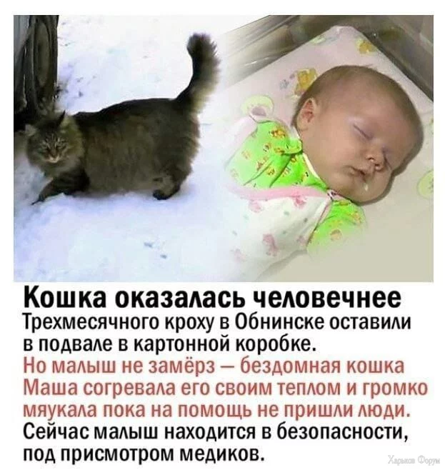 1708972283165.webp