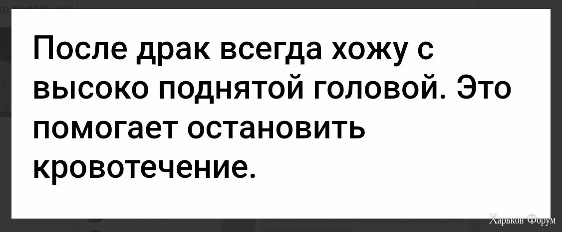 1709128231940.webp