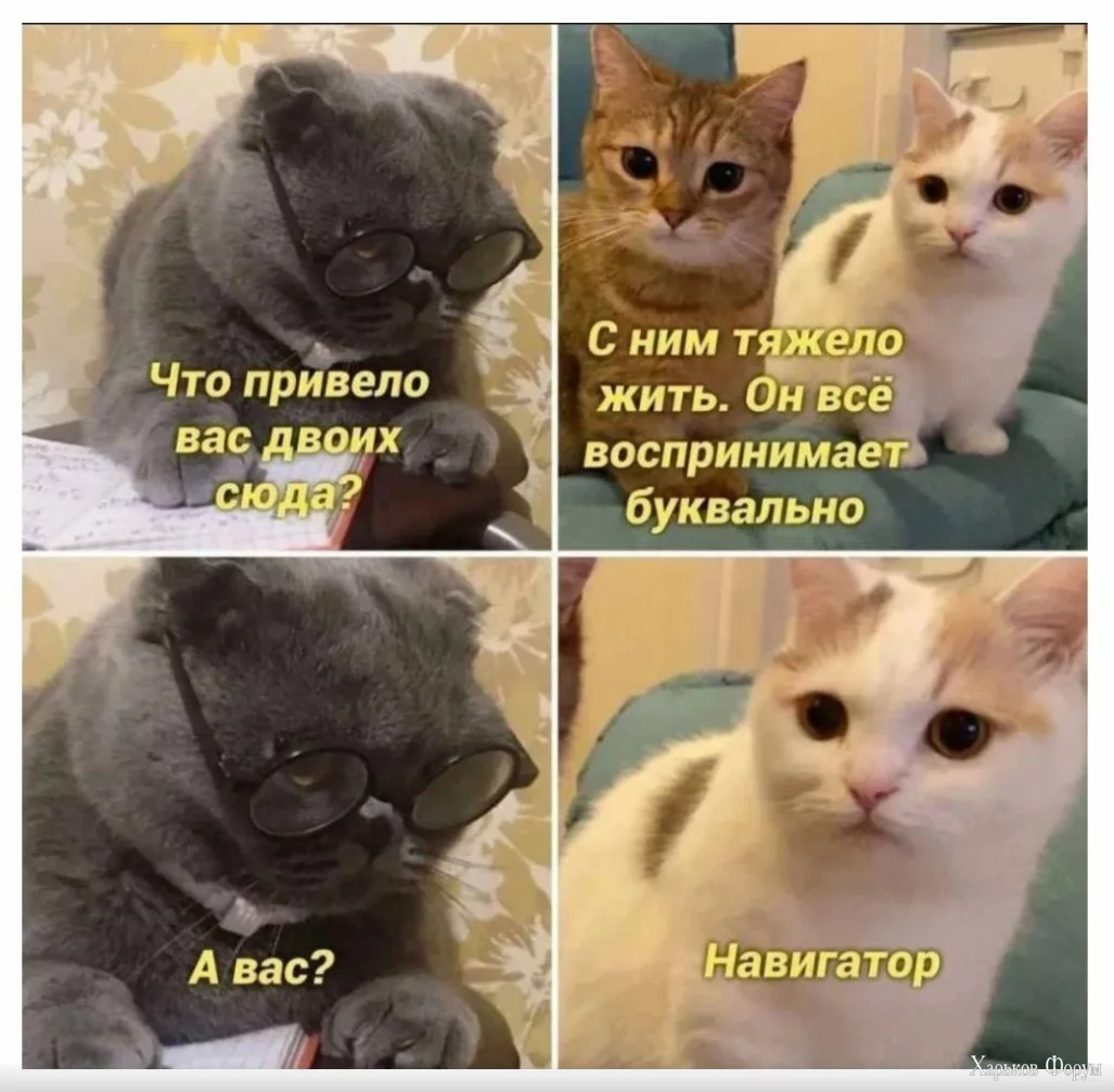 1709228808563.webp