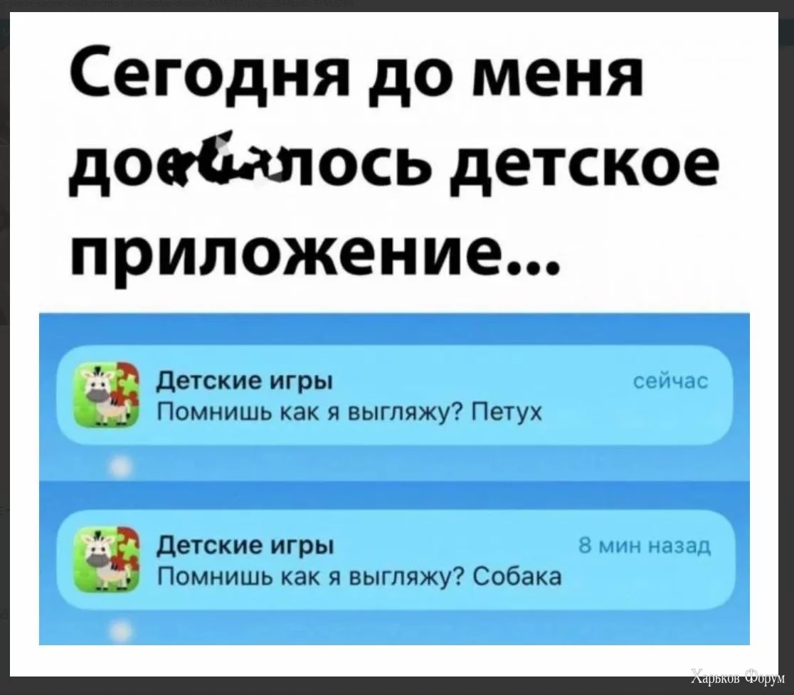 1709231184072.webp