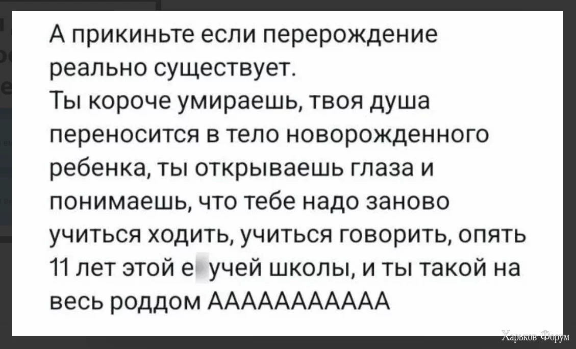 1709231278825.webp