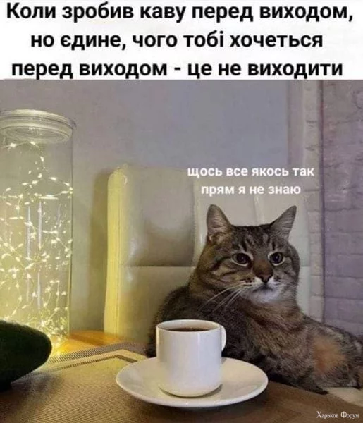 1709321986772.webp
